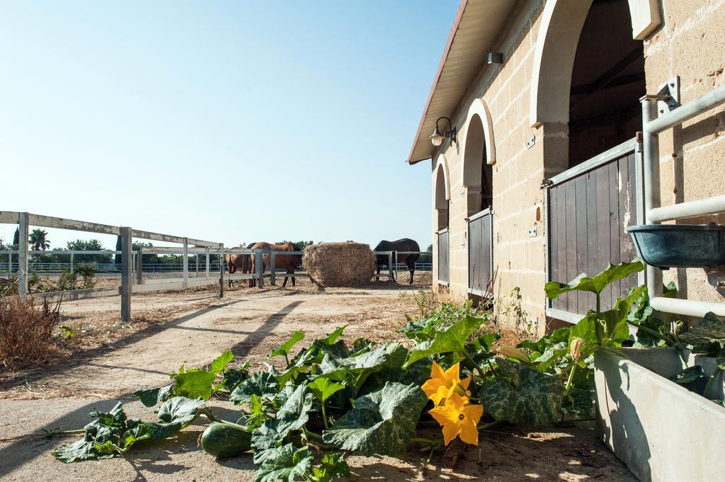 Amaregold Tenuta La Baronessa Resort Тулье Экстерьер фото
